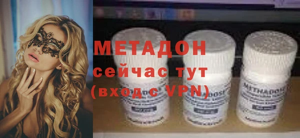 прущие грибы Аркадак