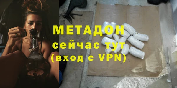 прущие грибы Аркадак