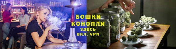 прущие грибы Аркадак
