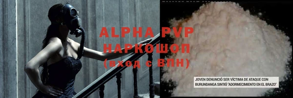 прущие грибы Аркадак