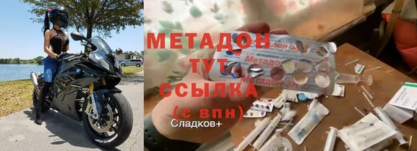 прущие грибы Аркадак