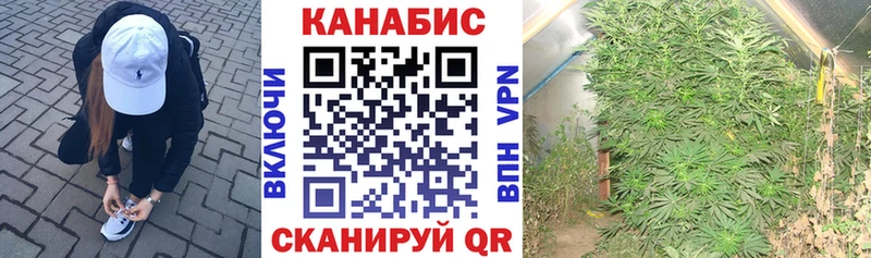 Канабис THC 21%  ссылка на мегу   Туран 